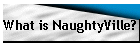 What is NaughtyVille?