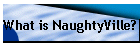 What is NaughtyVille?